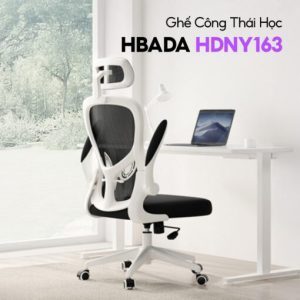 Ghế Công Thái Học HBADA HDNY163 Xoay Văn Phòng Cao Cấp